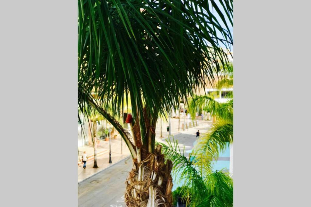 Begona City Center Studio 231 By Namaste Elite Torremolinos Luaran gambar